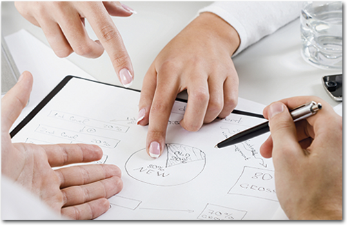 VSN's mission and vision VSN's mission and vision