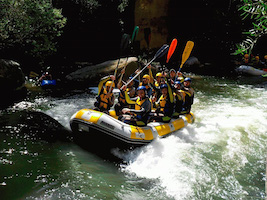 VSN organizes a Team Building event to celebrate the company’s success