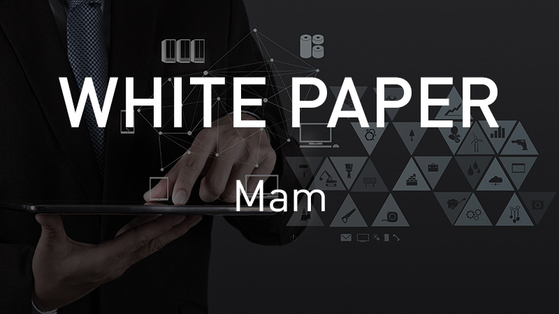 MAM White paper: Everything you need to know before choosing a MAM system